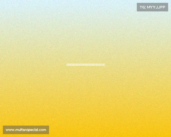 以埃尔切为核心探索西班牙东南部的文化历史与自然风光之旅